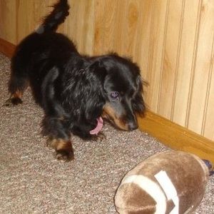 Meet your Posher, Pam